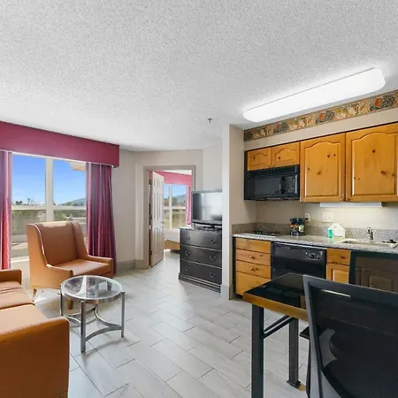 Metro Scottsdale Apartments 1 Bd 1 Ba Premium